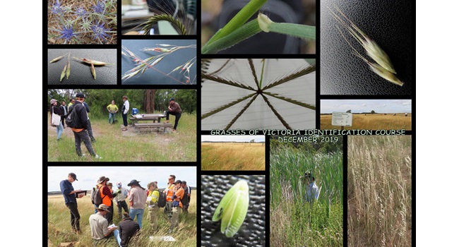 &nbsp&nbsp&nbsp&nbsp&nbsp&nbsp&nbspA student's course photos